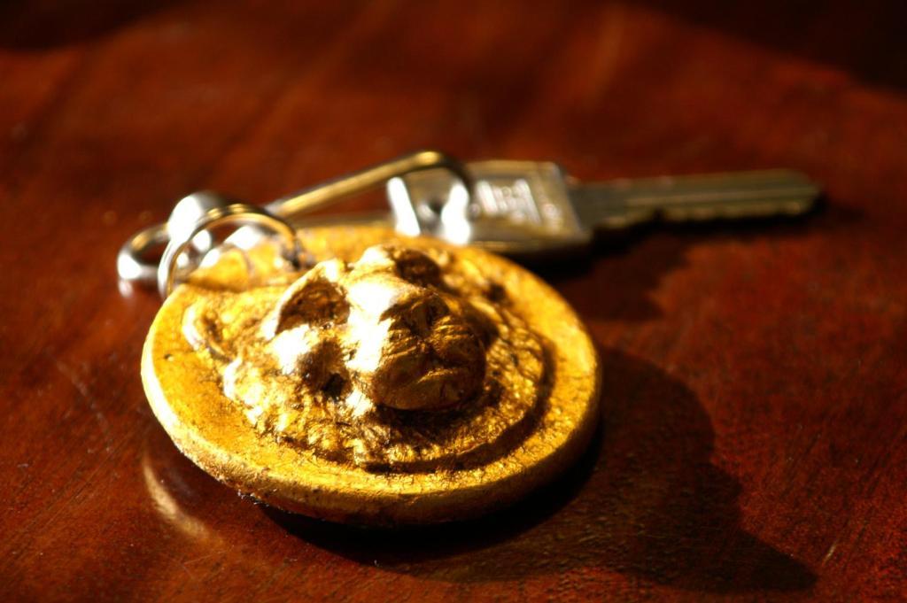 Hotel Lion Roure Turin ภายนอก รูปภาพ